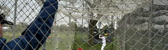Boys of summer hit the field